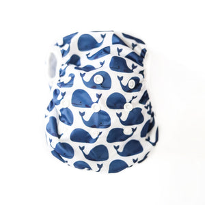 Reusable Swim Nappy Bundle - Set of 2 - Blue Whale & Fox