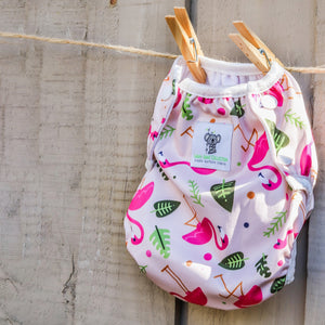 Reusable Swim Nappy Bundle- Set of 2 Large - Flamingo & Carnival Feather