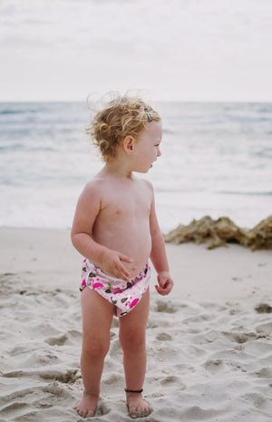 Reusable Swim Nappy & Waterproof Wet Bag- Pink Flamingo