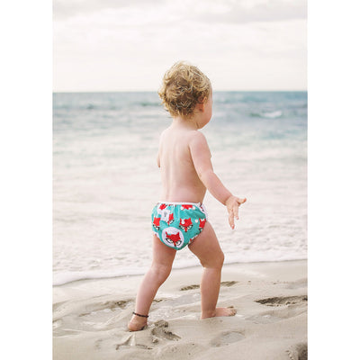 Reusable Swim Nappy & Waterproof Wet Bag - Fox