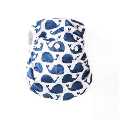 Reusable Swim Nappy Bundle - Set of 2 - Blue Whale & Toucan Jungle