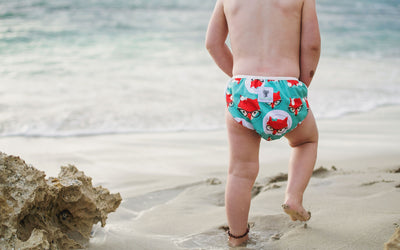 Reusable Swim Nappy Bundle- Set of 2 - Flamingo & Fox