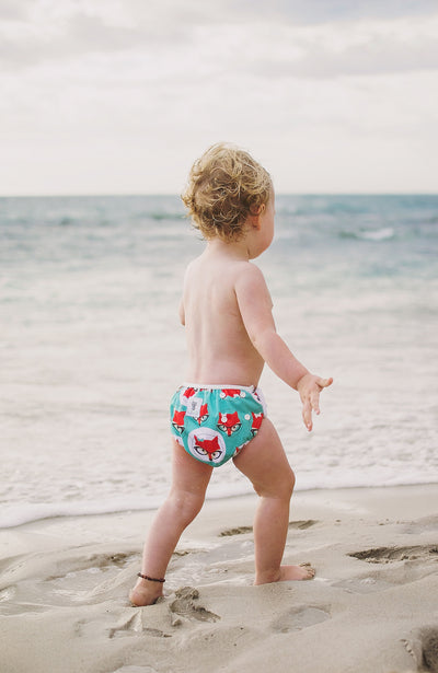 Reusable Swim Nappy Bundle- Set of 2 - Flamingo & Fox